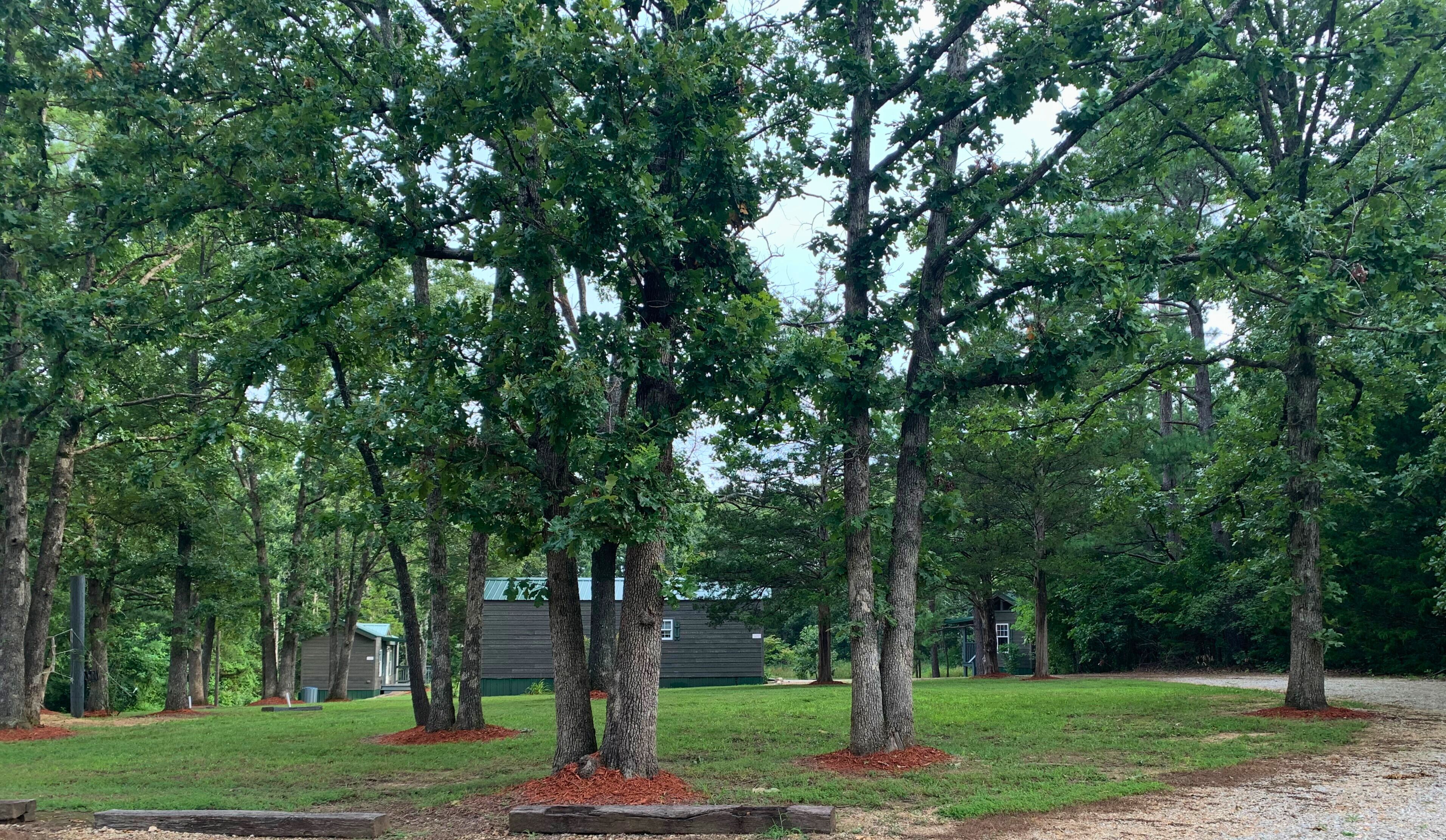 A wooded area with several trees and a building in the background.