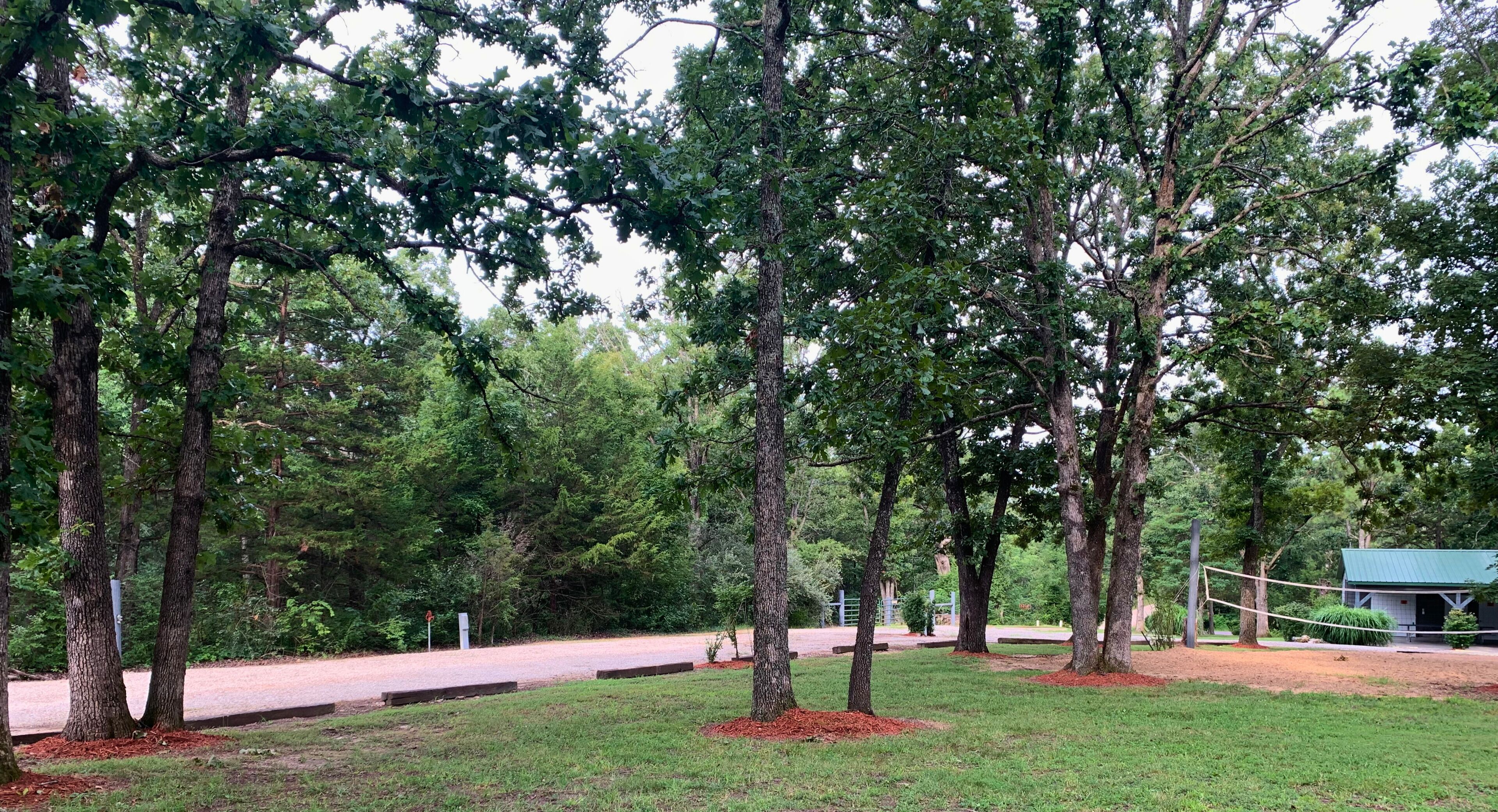 A park with a paved walkway, trees, and a small building with a green roof.