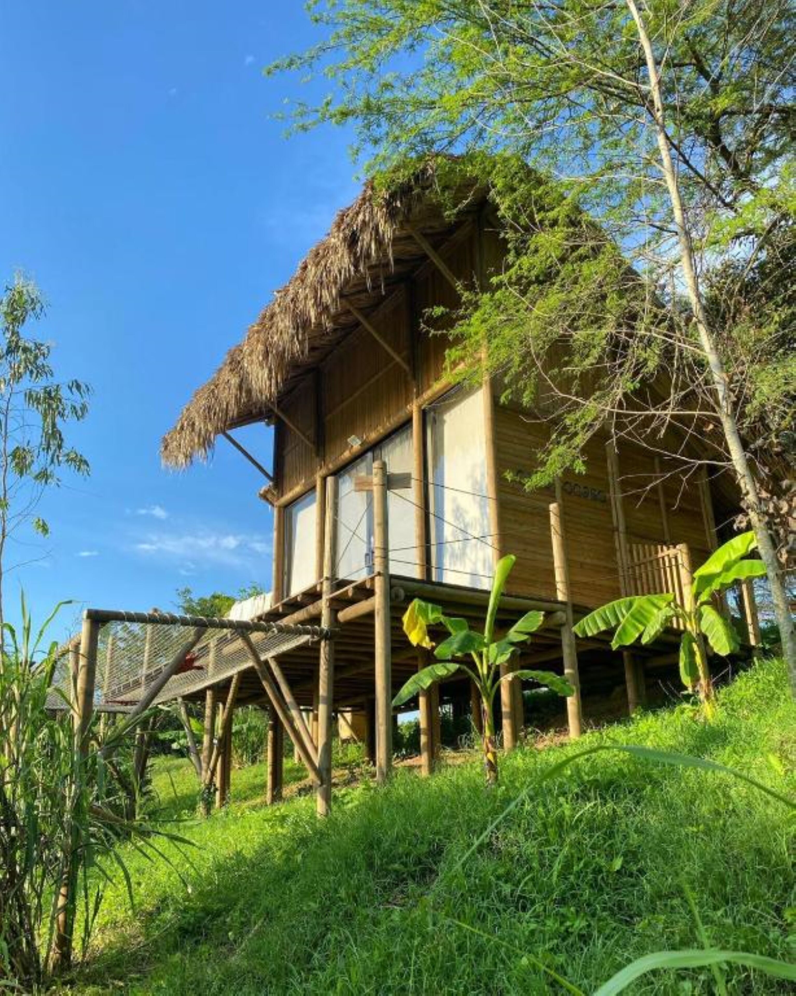 A wooden house with a thatched roof, elevated on stilts, surrounded by lush greenery.