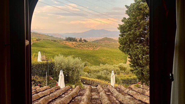A vineyard view through an arched window with stone steps leading down. - Room in B&B - Room Overlooking the Vineyards and Florence (Carmignano)