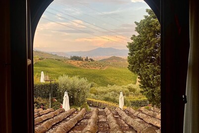 Room in B&B - Room Overlooking the Vineyards and Florence