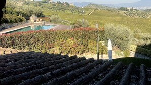 A view through an archway of a pool area with a vineyard in the background. - Room in B&B - Room Overlooking the Vineyards and Florence (Carmignano)
