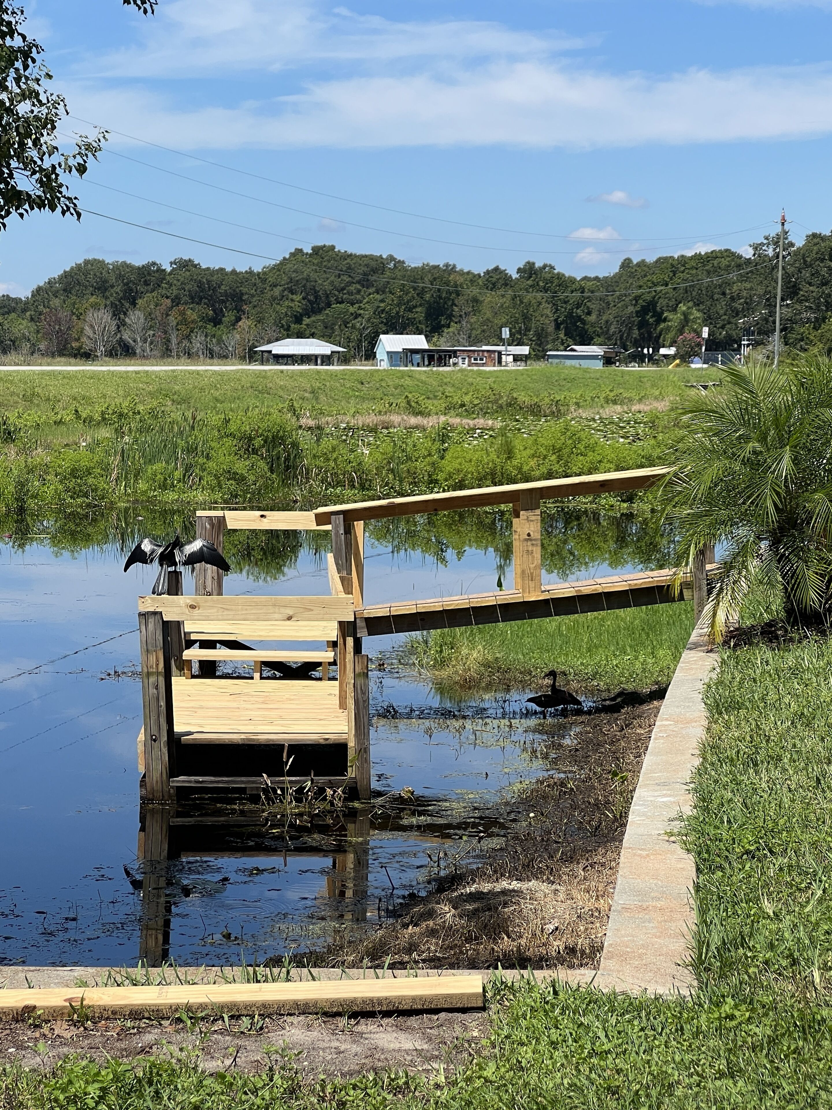 A wooden dock extending into a body of water with reflections of the surrounding landscape.