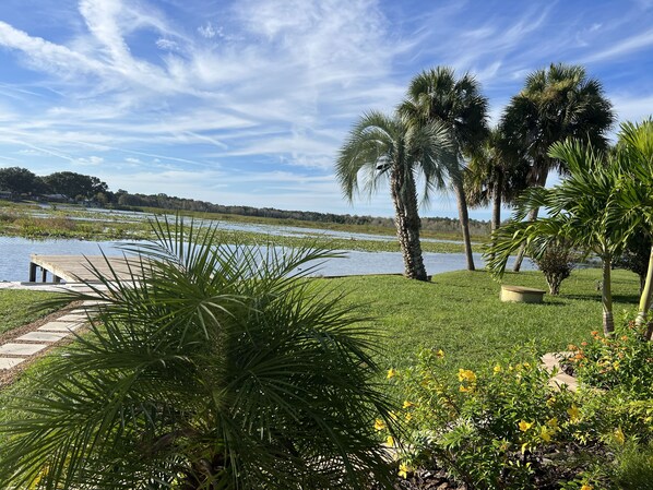 Un jardín tranquilo junto al lago con un muelle de madera, palmeras y diversas plantas florecientes.