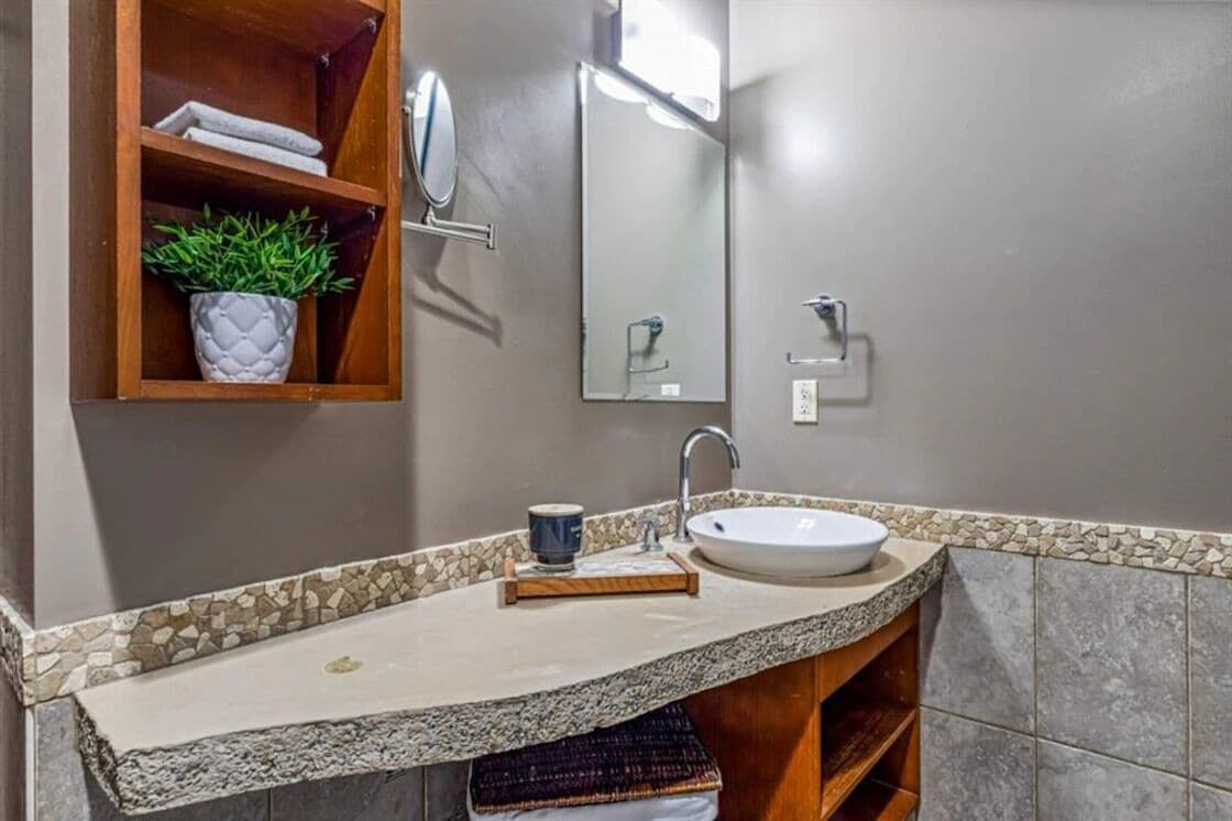A bathroom with a granite countertop, a white sink, a mirror, and a shelf with a potted plant.