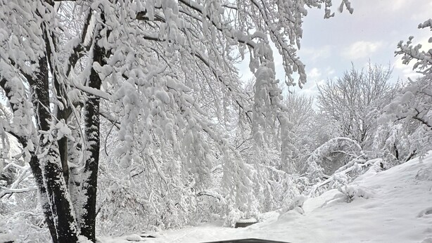 A hot tub on a wooden deck surrounded by snow-covered trees.