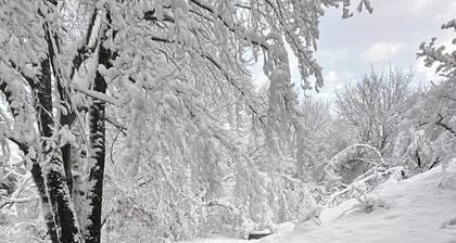 Big Blue Lake House Complete with Game Room & Hot Tub
