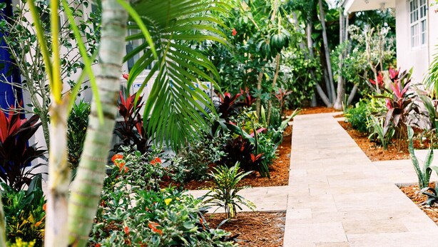 A pathway lined with various plants and a building on one side. - Casa Cordova by Lowkl (Fort Lauderdale)