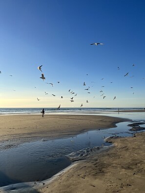 On the beach, sun loungers, beach towels