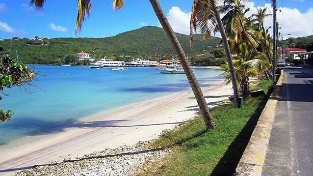 A beach with clear blue water, a road alongside, and palm trees. - This exceptional property offers the convenience of being just a short stroll from Cruz Bay, all while providing the comfort of full air conditioning. Don't miss out on this perfect blend of location and luxury! (St John)