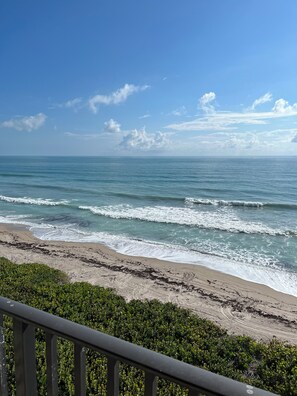 En la playa, camastros y toallas de playa 