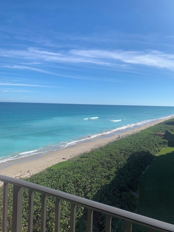 A coastal view with a beach, ocean, and greenery.