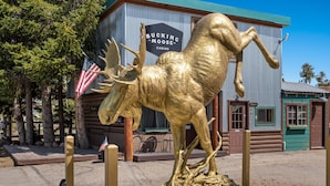 Une statue d’un élan doré se trouve devant un bâtiment portant l’inscription « Bucking Moose Cabins ».