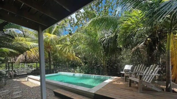 En træterrasse med swimmingpool, omgivet af frodig vegetation og palmer.