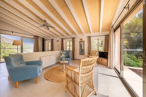 Fernseher, Kamin