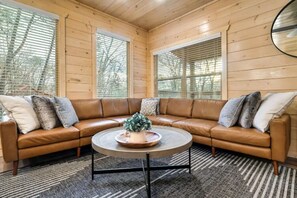 TV connectée, cheminée, livres