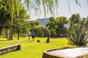 A park with a grassy area, trees, and a clear sky.