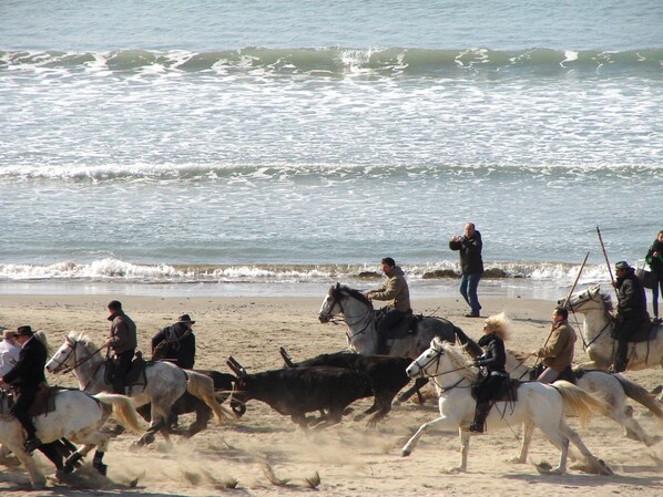 Am Strand