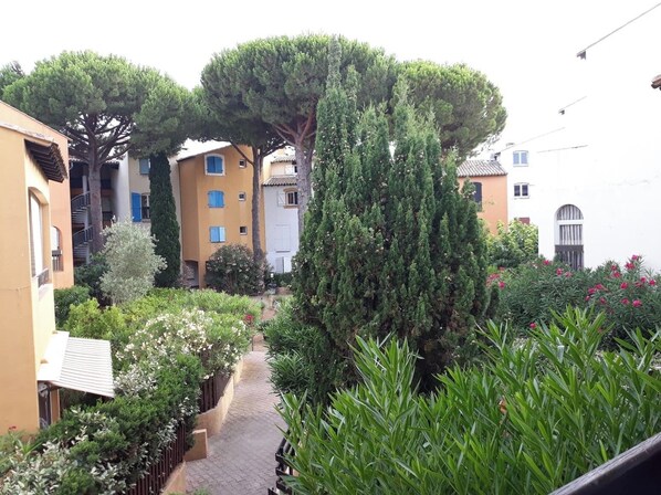 A courtyard with a paved path, surrounded by buildings with balconies and a variety of greenery including trees and shrubs.