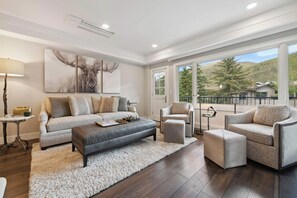 TV, fireplace