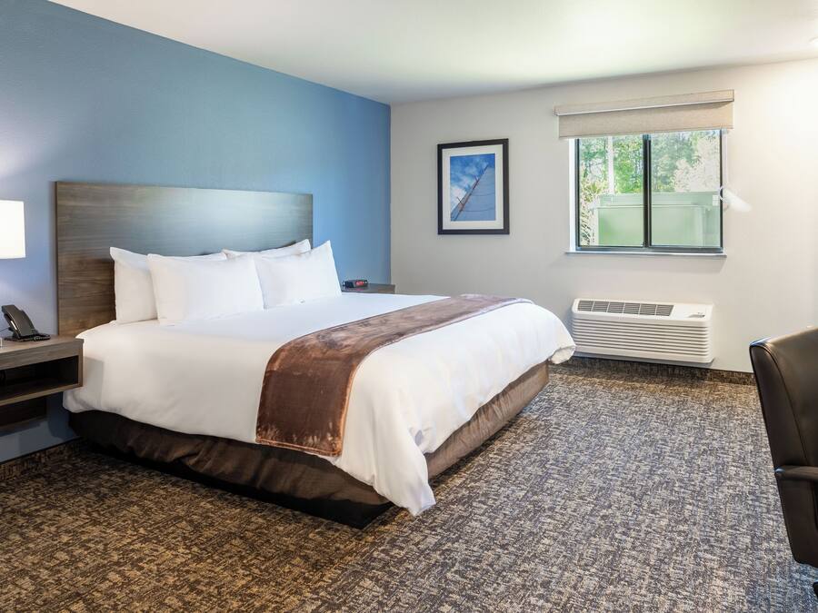 Une chambre d’hôtel avec un grand lit, une table de chevet avec une lampe, une chaise, une fenêtre avec des stores et un appareil de climatisation.