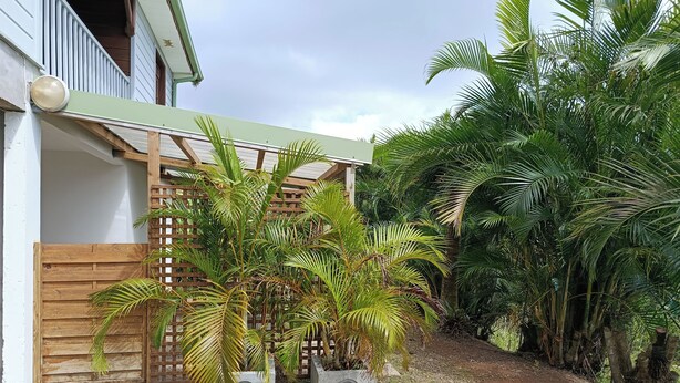 A residential property with a wooden fence, concrete planters, and lush greenery. - Le petit coin de campagne  (Le Robert)