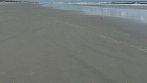 A wide, open beach with a clear sky and distant horizon.