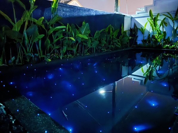 A pool with water features and surrounding greenery.