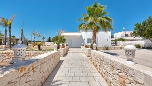 A stone pathway leading to a white building with a modern design, surrounded by palm trees and potted plants.