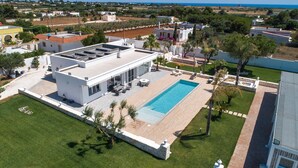 A modern house with a swimming pool, surrounded by a well-maintained lawn and palm trees.