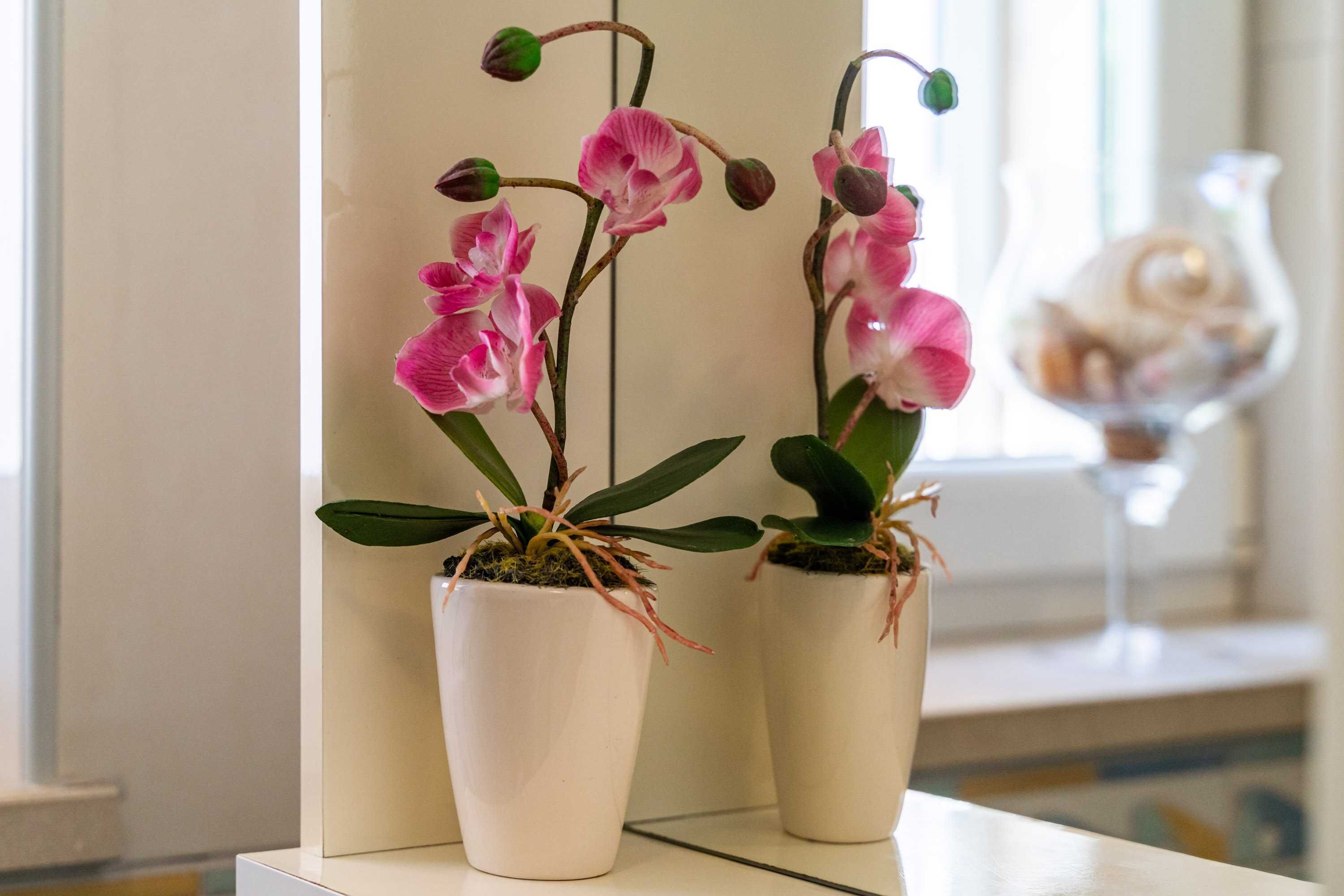 Foto - Apartments & Room Frane