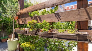 Estudio (Studio with Terrace) | Terraza o patio