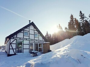 Chalet (4-persoons chalet) | Exterior - 4-persoons Chalet (Winterberg)