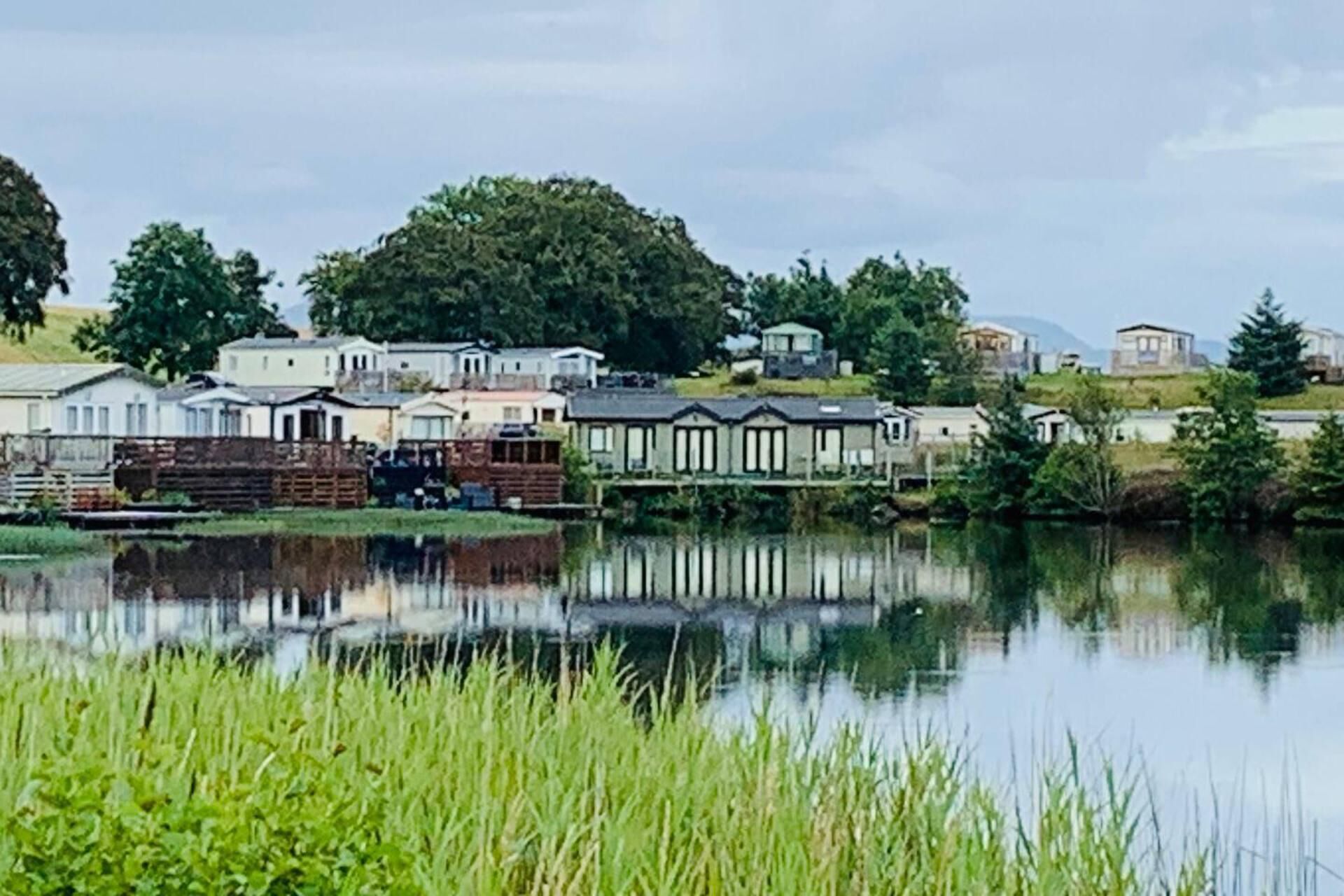 A lakeside residential area with houses and a dock.