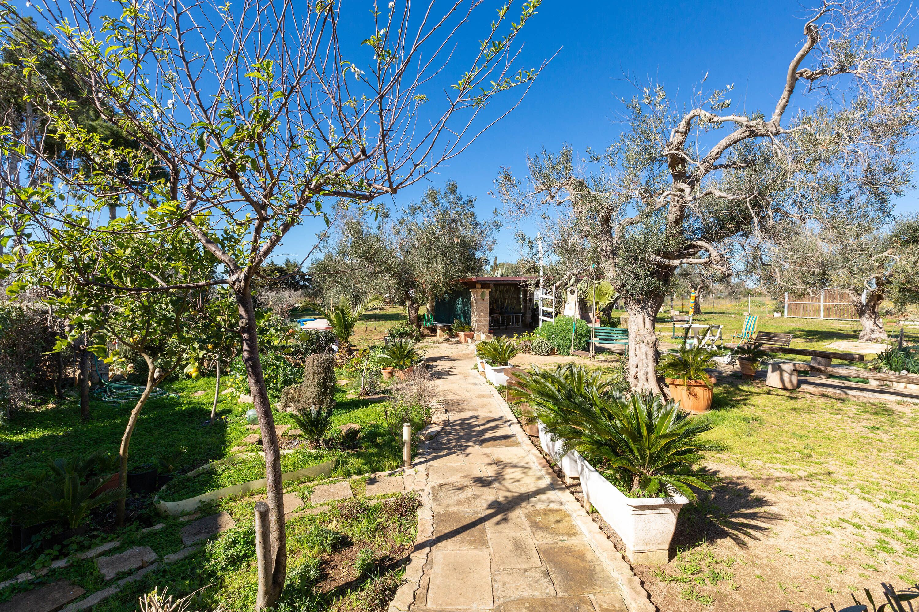 A garden pathway leading to a rustic building with a stone facade, surrounded by various plants and trees.