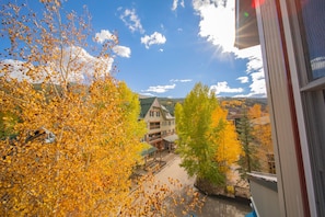 A hotel with a traditional architectural style, featuring a prominent central building with a green roof and multiple windows. - Silver Mill 8244 (Keystone)
