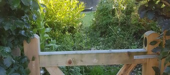 Delightful 3 bed Thatched Cottage Near Winchester