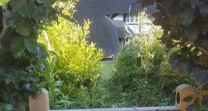 Delightful 3 bed Thatched Cottage Near Winchester