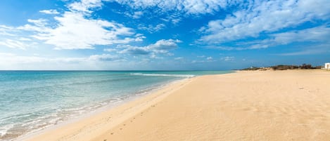 Playa