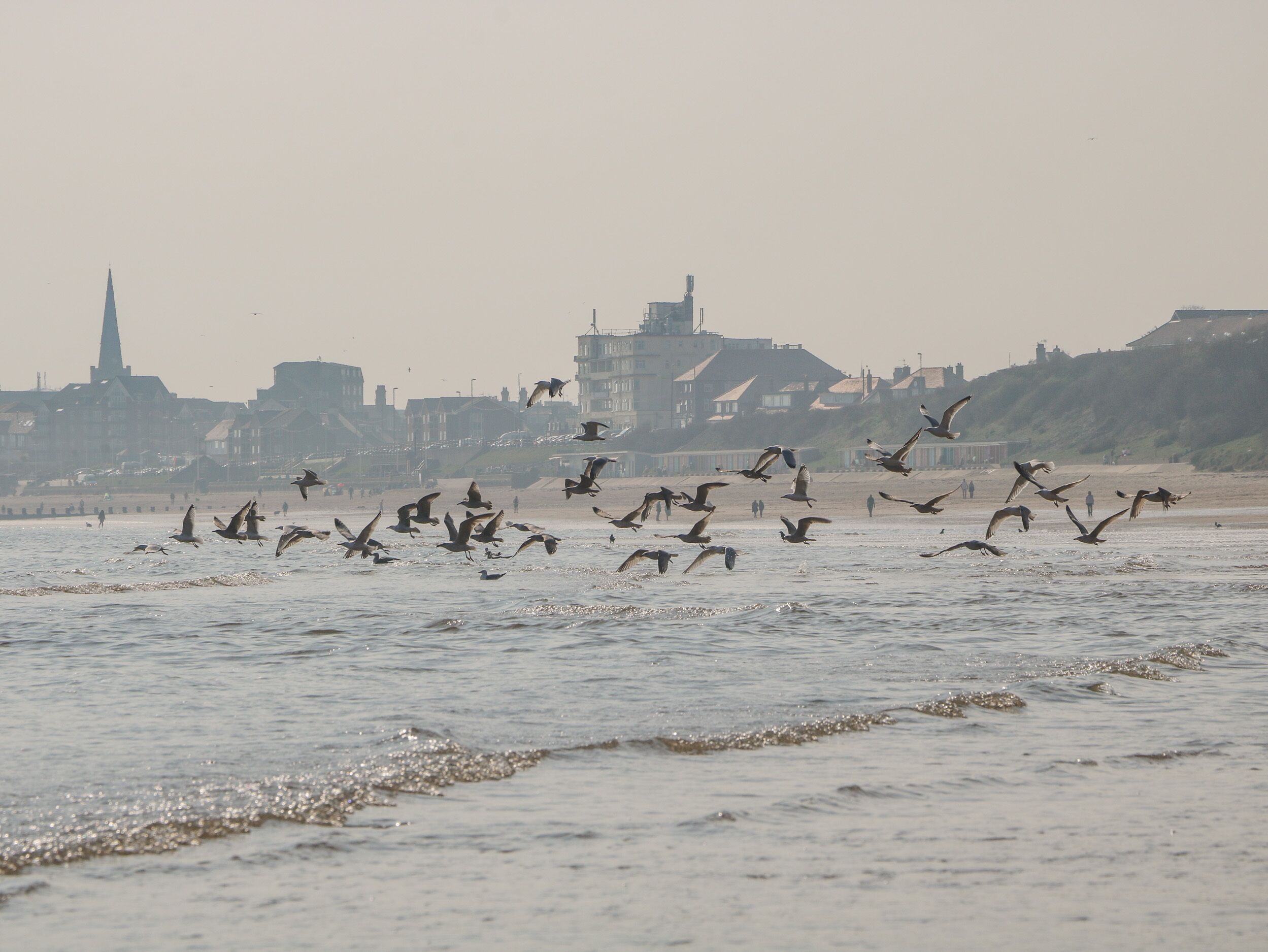 Strand
