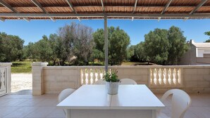 A covered patio with a table and chairs, a potted plant, and a view of trees and a building.