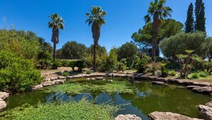 Ein friedlicher Garten mit Teich, Palmen und verschiedenen Sträuchern.