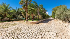 A cobblestone pathway lined with palm trees and greenery, leading towards a building with a stone wall.