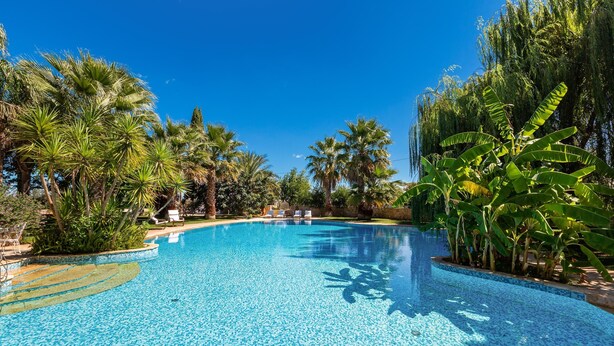 A clear blue swimming pool surrounded by palm trees and tropical plants.