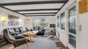 TV, peis og DVD-spiller