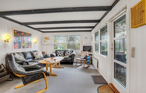 TV, fireplace, DVD player