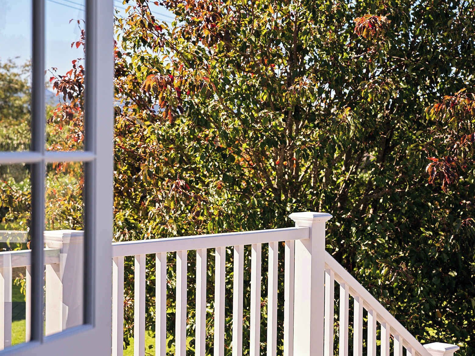 A white wooden railing with a balustrade, a clear view of a lush green tree with some red leaves, and a glimpse of a building in the background.