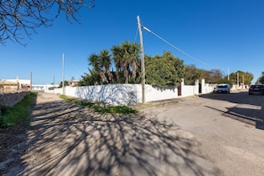 A quiet street with a white wall, palm trees, and parked cars.