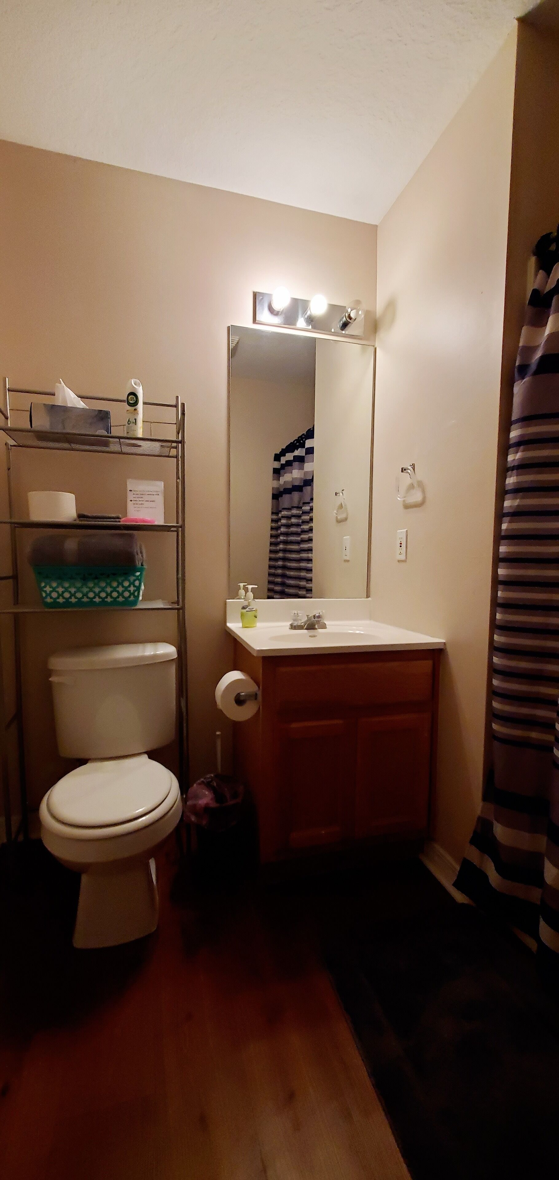 Combined shower/tub, hair dryer, towels, soap