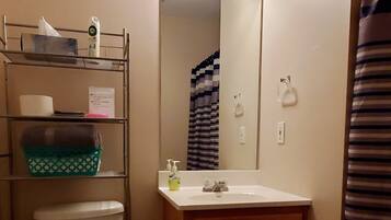 Combined shower/tub, hair dryer, towels, soap